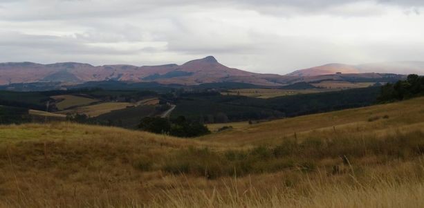 darglr valley view